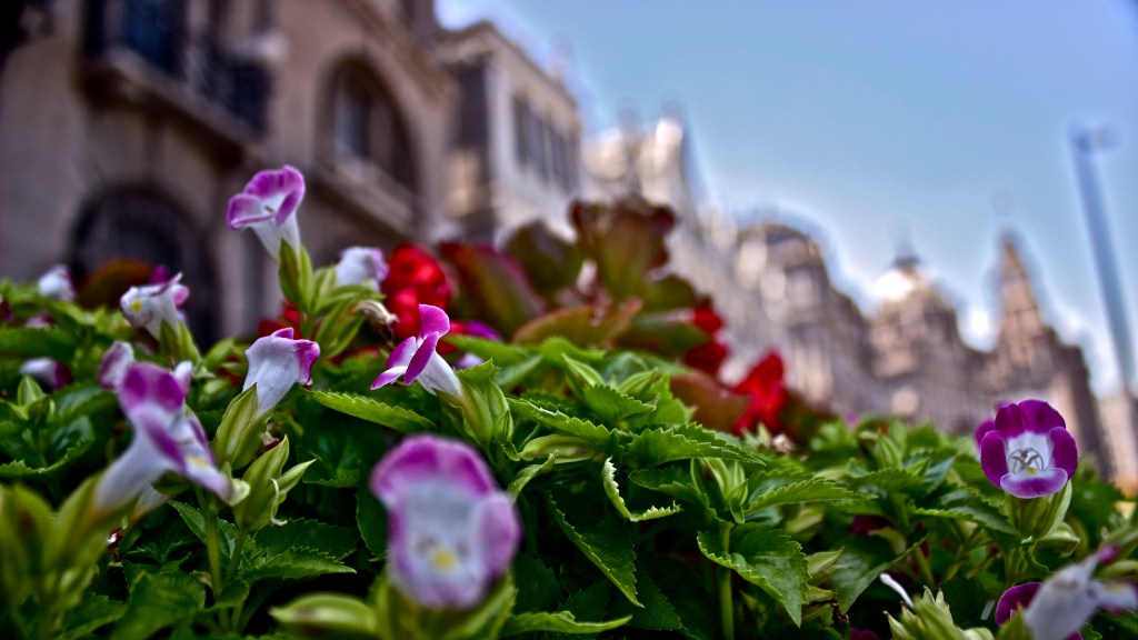 95 Degrees On The Bund