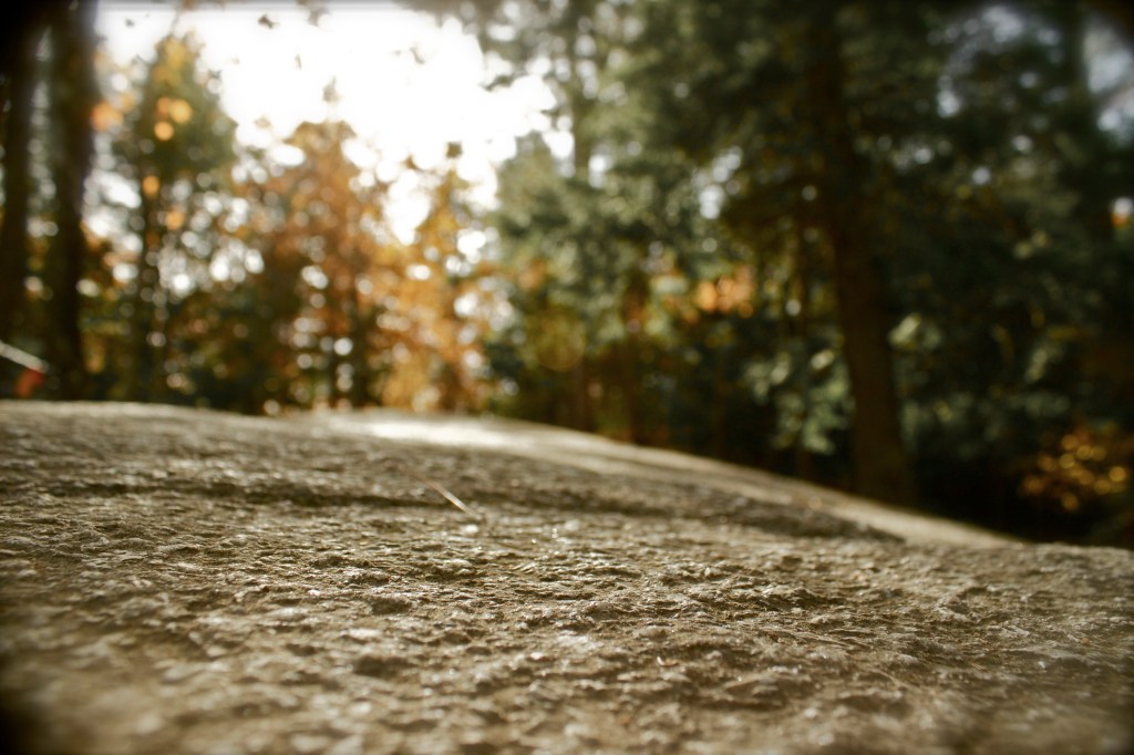Easily accessible by car, Cathedral Ledge in North Conway, NH is a popular spot for rock climbers and rappelling...