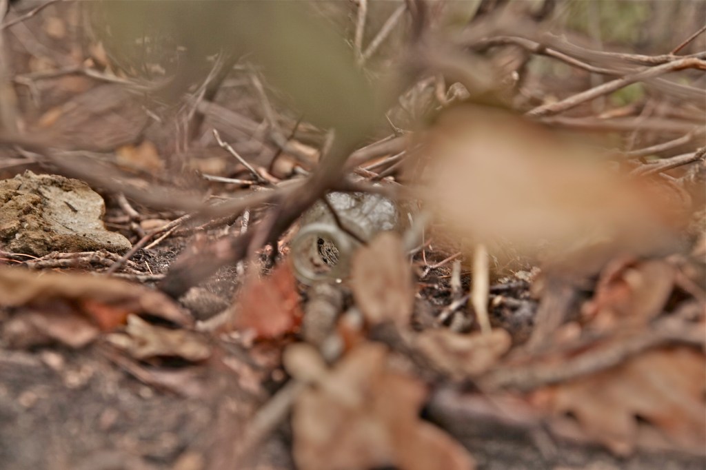 Canon 5D Mark II-at 63mm, 4/4.5, ISO 160. An awesome awesome camera for working with low-light