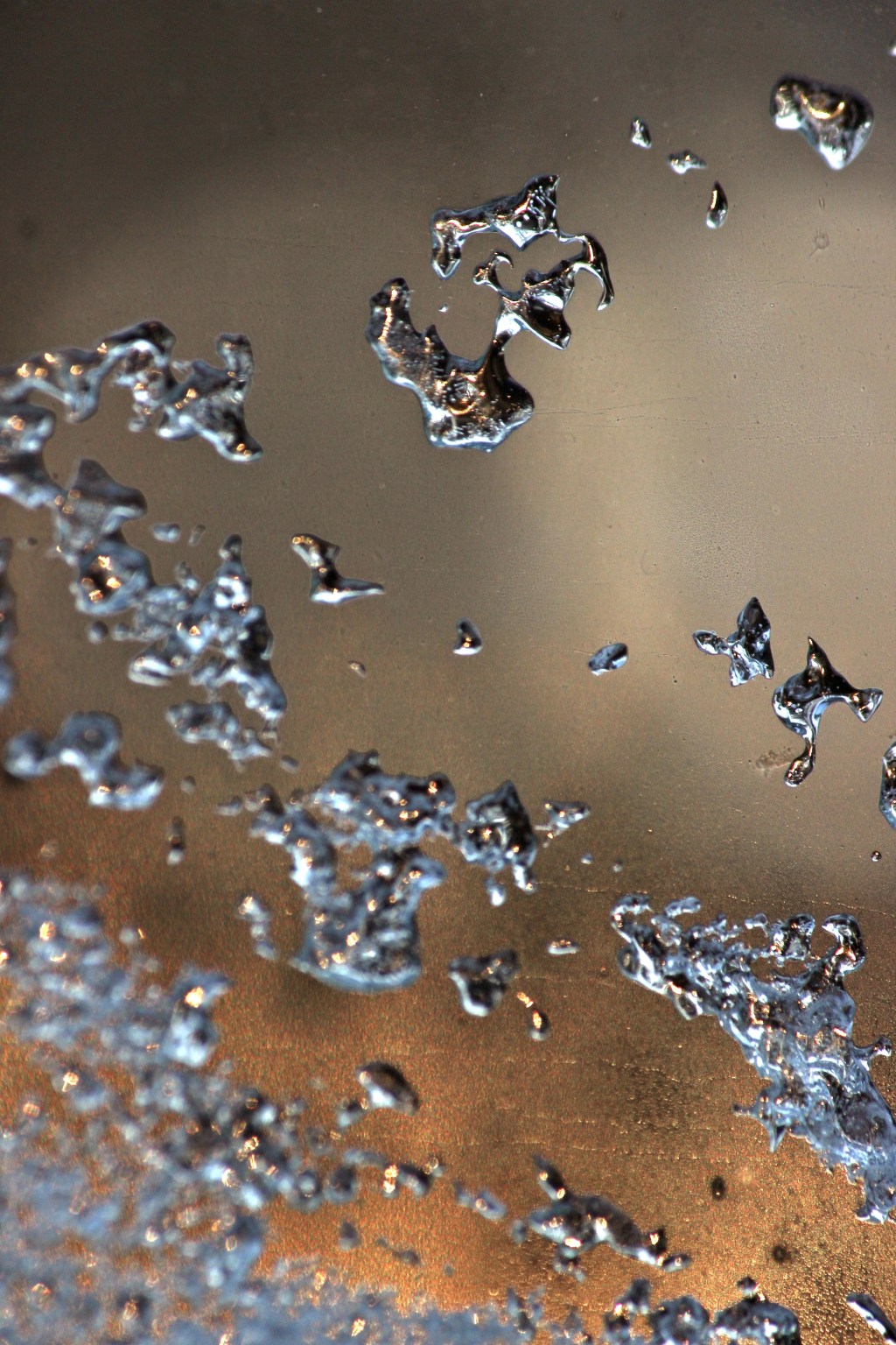 EF-S 55-250, 250mm, ISO 200, F/10, 1/200