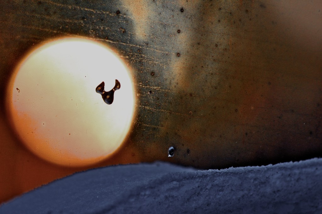 EF-S 55-250, 250mm, ISO 200, f/ 6.3, 1/200