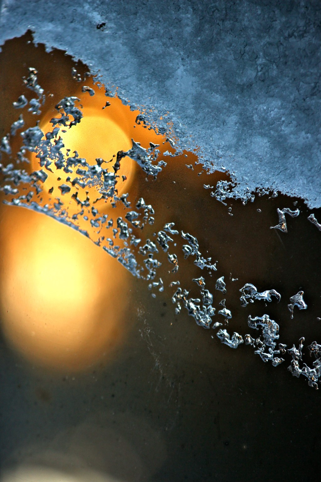 EF-S 55-250, 200mm, f/ 6.3, 1/200