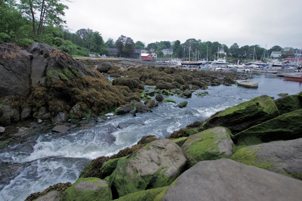 Thoughts on the better shot: long exposure vs desaturation in iphoto? I'm leaning toward the latter.  This is definitely the harbor at low-tide...The next morning, every inch of these rocks were submerged. 