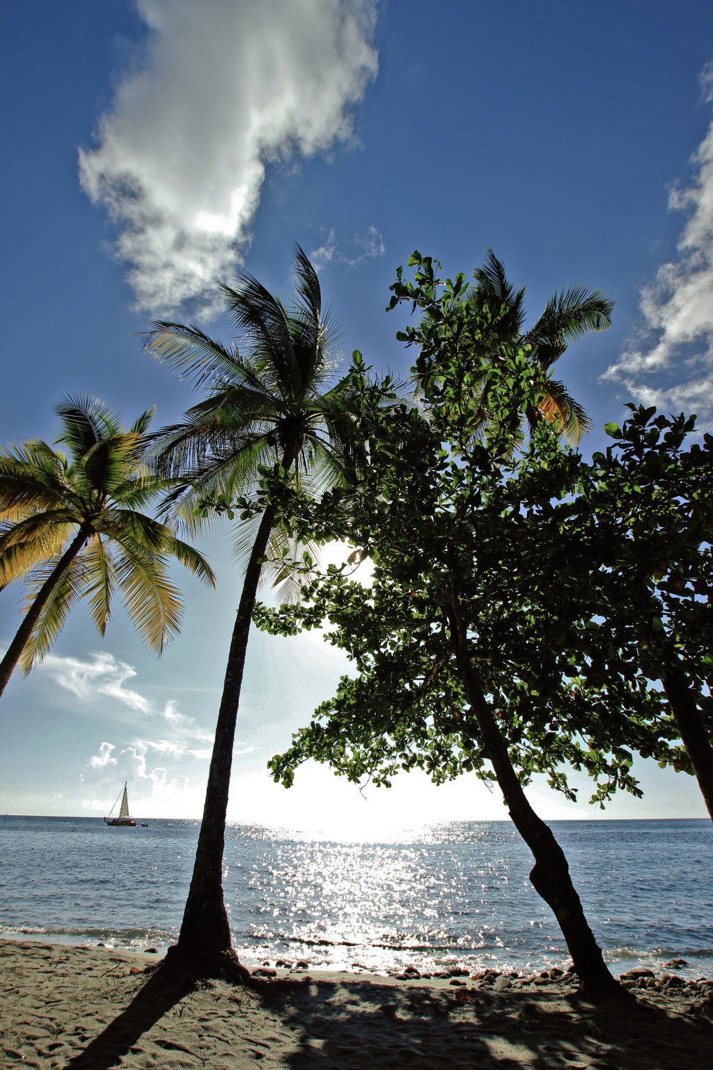At Anse Mamin. Post work done in Photoshop--attempted to crush the highlights a smidge more-stopping down with an ND filter would have helped--getting sand on my lens would not have though :) Sigma 10mm, f/5.6, 1/250