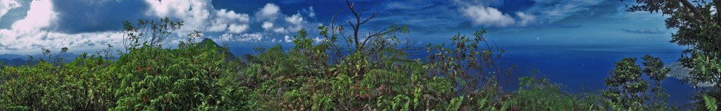 Let's start with the panoramic payoff of a steep, two hour, 800 meter climb up Petit Piton. All pictures in post taken with my kit lens (Canon 18-55mm) on my Canon T3i. October 2013. Handheld, stitched together in Photoshop. Had about 40% overlap on each picture (nine total) to compose the image. Gros Piton is seen behind the foliage in the left-center area of the frame, and Soufriere Bay is camera right. Petit's summit is maybe 30 meters in circumference, with dense pockets of bushes and brambles and rocks and abso-frickin'-lutely stunning 360-degree views on St. Lucia. 