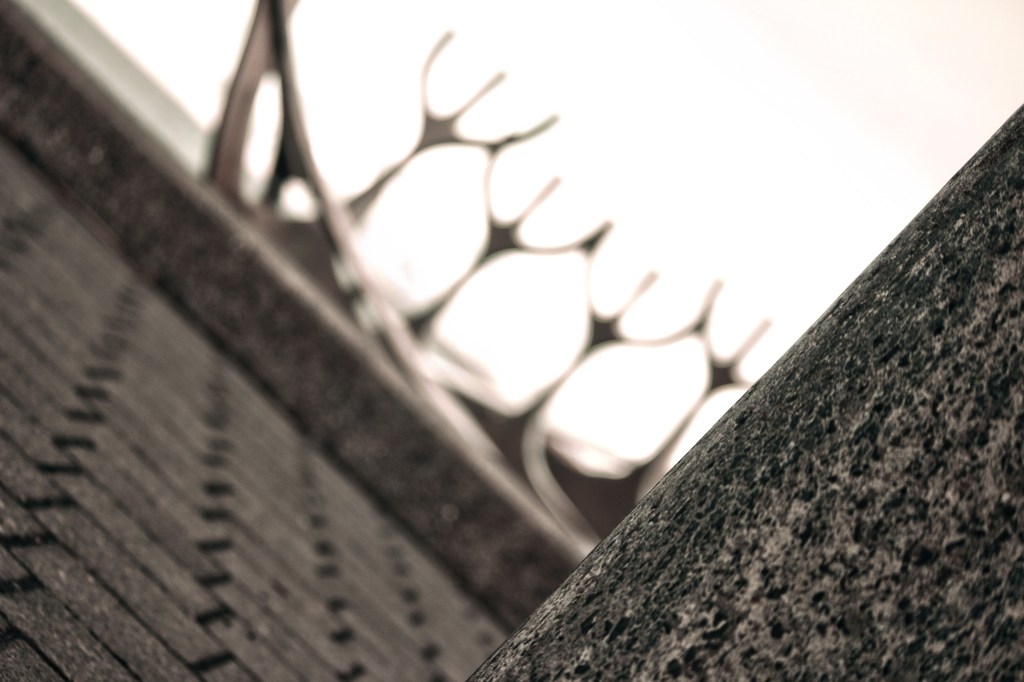 Detail enhanced in Photoshop. Selective Color Mixer to warm up highlights and shadows. Canon T3i, 55mm, ISO 100, f/4, 1/100