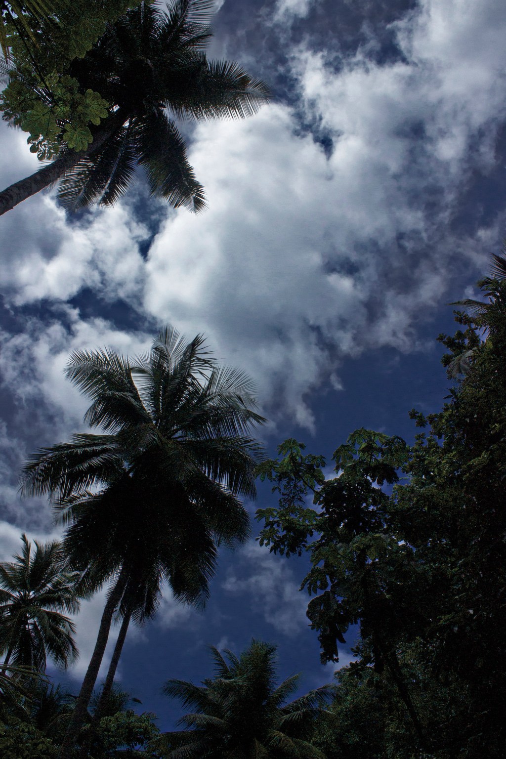 Canon 18mm, f/18, 1/800