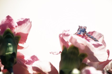 Canon T3i, Canon 250mm