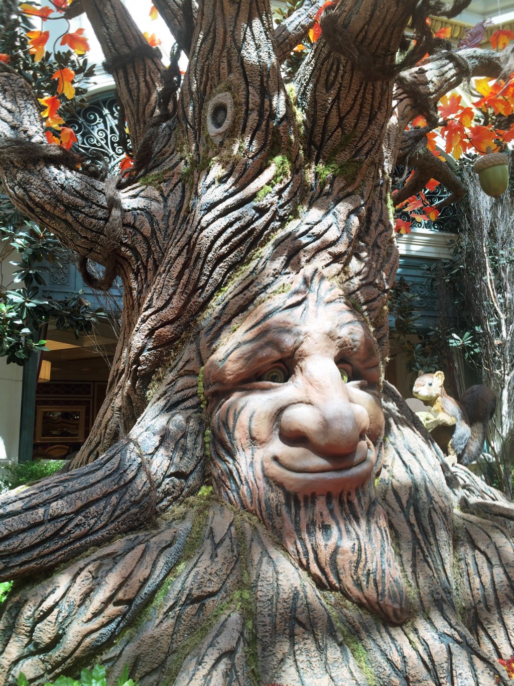 Pro HDR app iPhoneotography