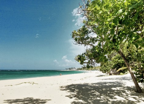 Beach borders the affordable Playa Dorada Golf Course. Shot a 54 on the front nine--recommended play if you can get out early enough to beat the heat. 