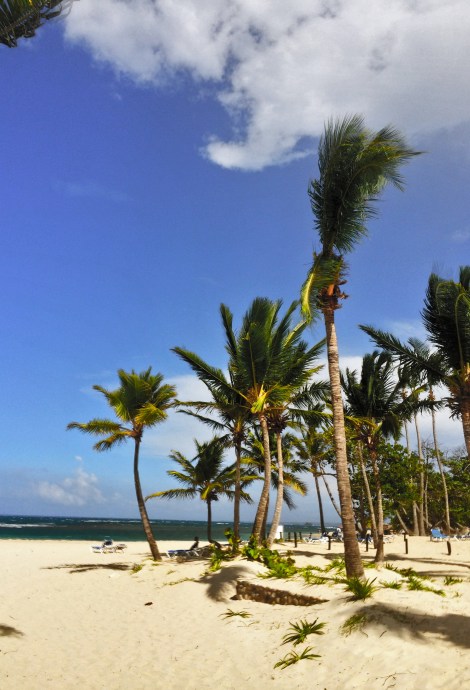 iPhone-otography. Pro HDR app and Photoshop post. Stayed at Barcelo Puerto Plata Resort. All-inclusive. Service and food were excellent. Property grounds and room conditions were sub par. 