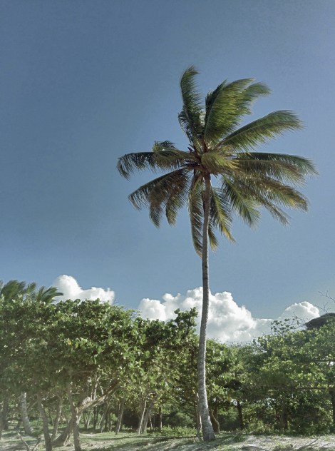 iPhone-otography. Pro HDR